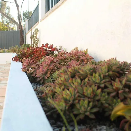 Ferienhaus Castro's *