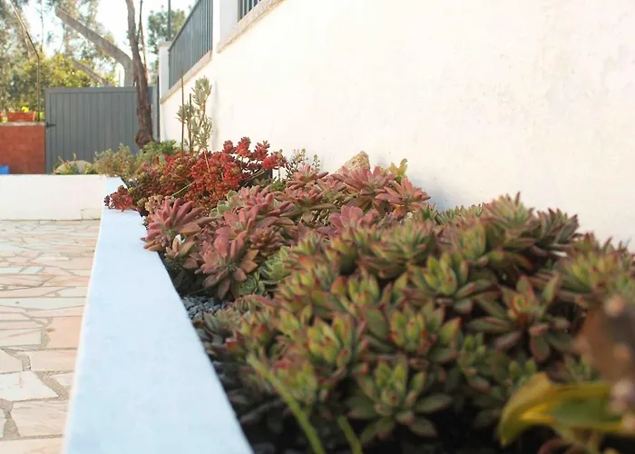 Ferienhaus Castro's *