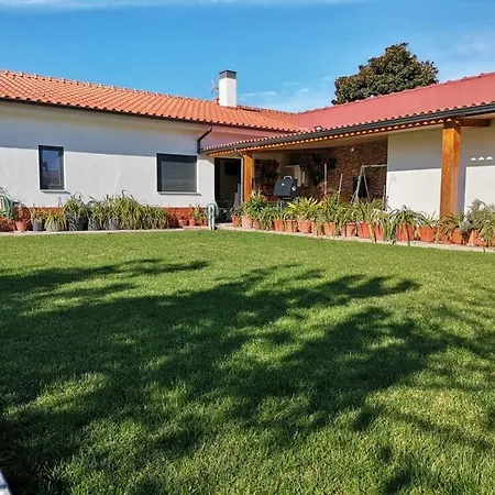 Holiday home Castro's *